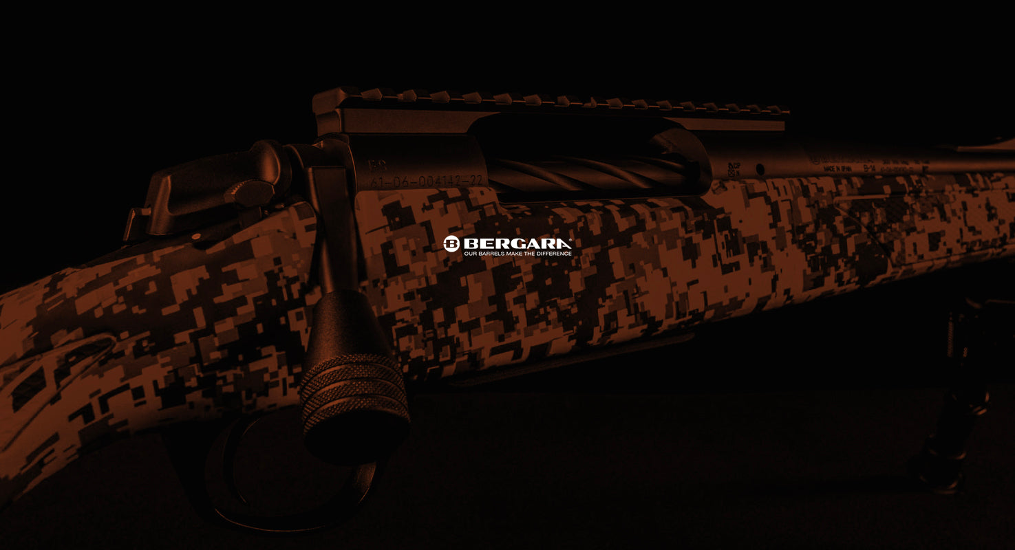 Bergara