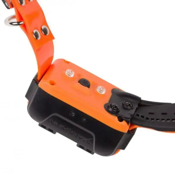 Collar Remoto Num'axes de Adiestramiento y Localización Canicom GPS 2