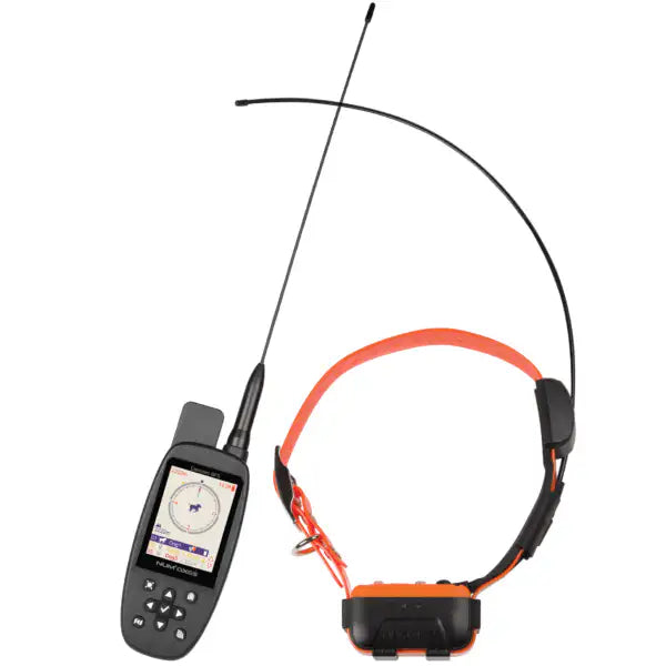 Collar Remoto Num'axes de Adiestramiento y Localización Canicom GPS 2