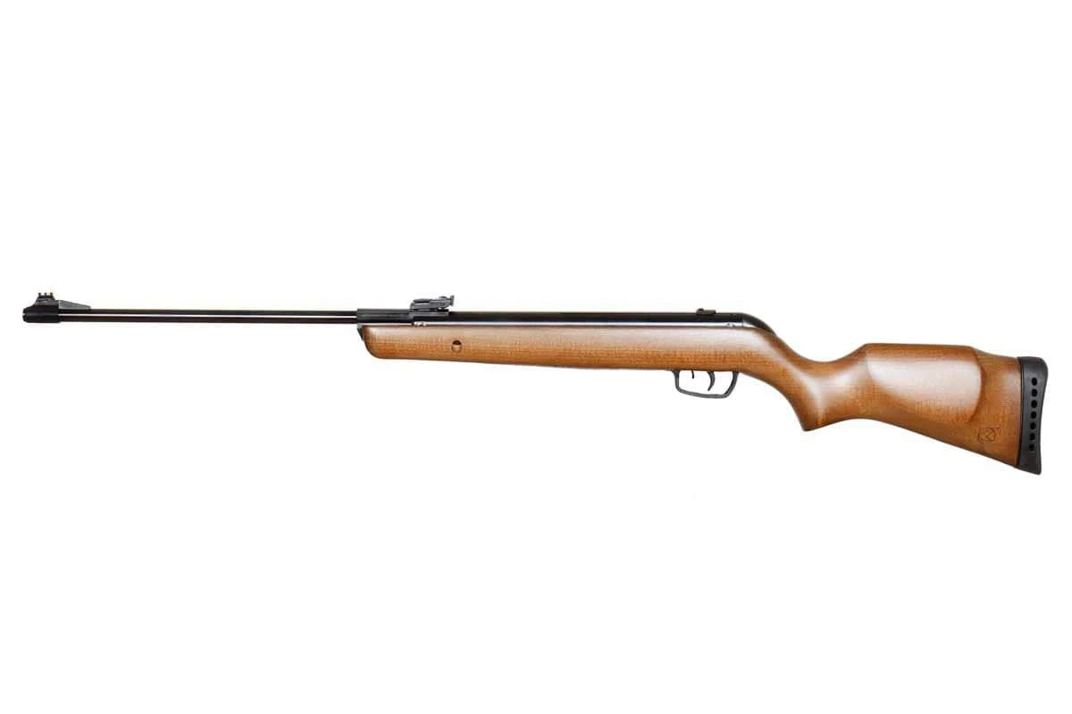 Carabina de Aire Comprimido Gamo Big Cat Hunter