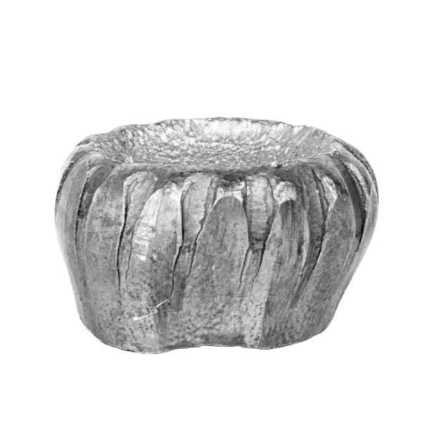 Cartuchos Balas Hornady Slug American Whitetail®