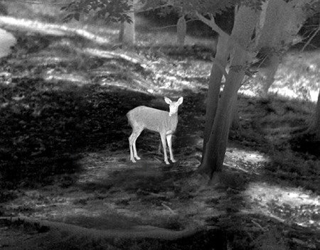 Binoculares Guide de Visión Diurna Nocturna DN Serie