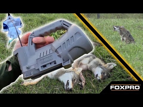 Reproductor de Cantos Digital FOXPRO Hellcat