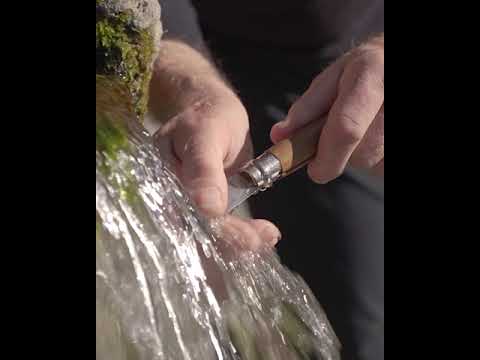 Stainless steel knife No. 12