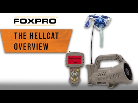 Reproductor de Cantos Digital FOXPRO Hellcat