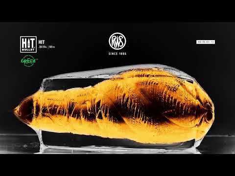 Hit Hunting Short Rifle Metal Ammunition