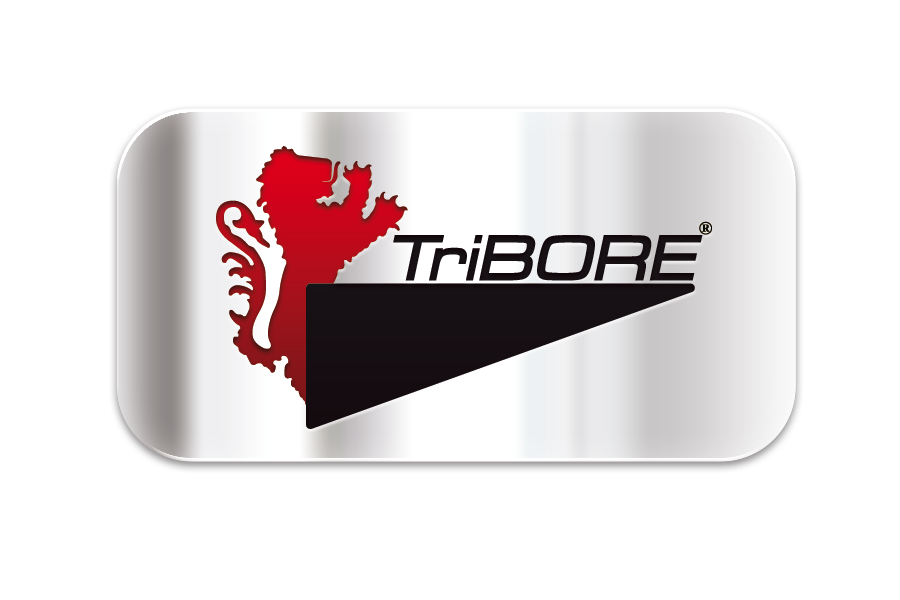 Escopeta Táctica Fabarm SDASS Trainer