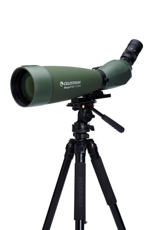 Regal M2 100ED Spotting Scope