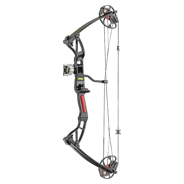 Arco Poleas Rex Negro 28" 15-55 lbs.