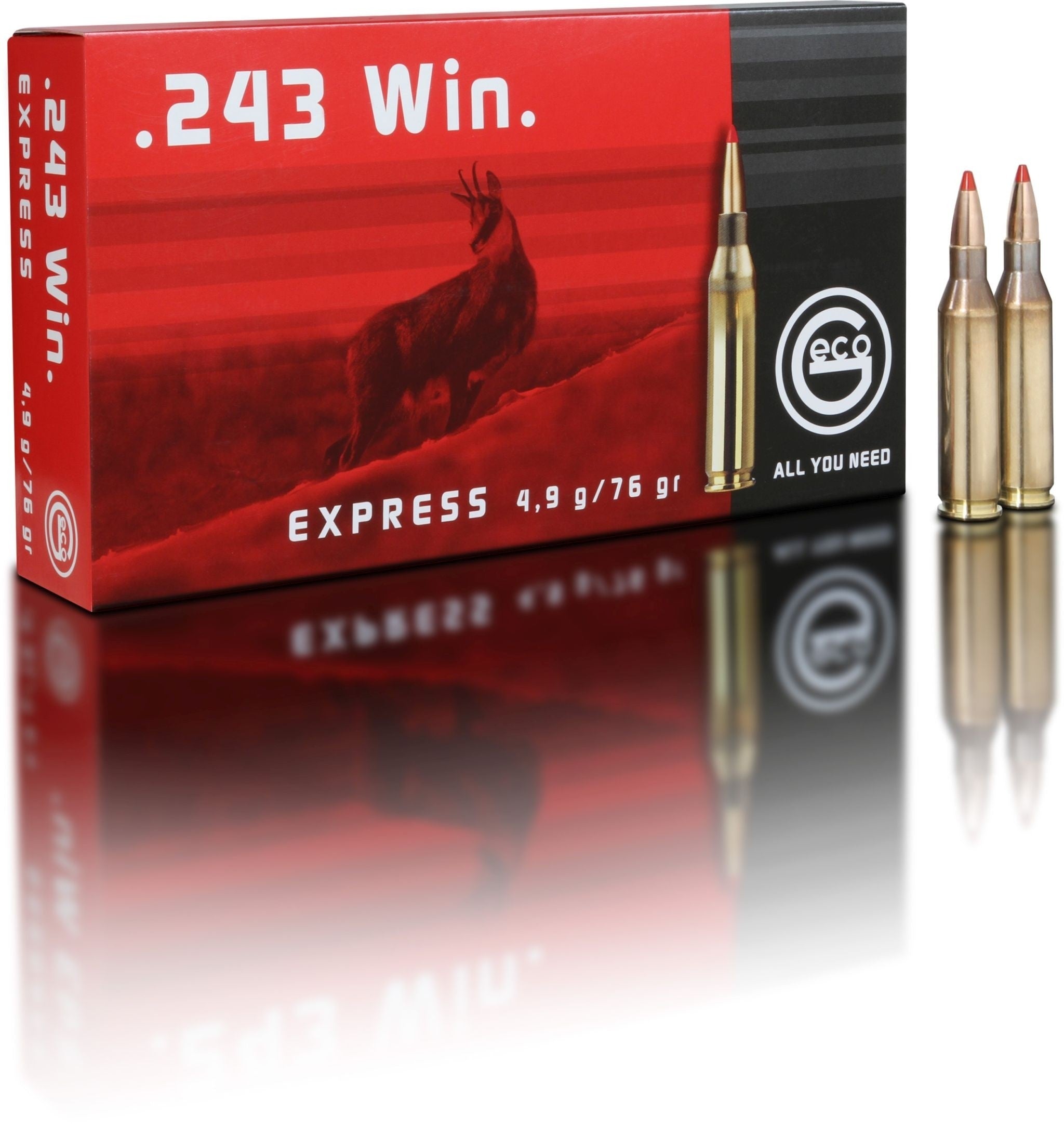 Express Hunting Bullets
