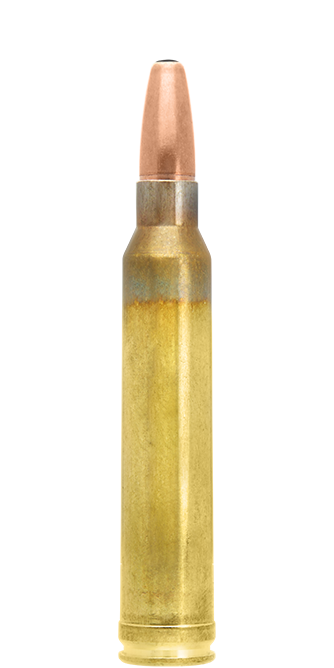 SP Mega Rifle Bullets