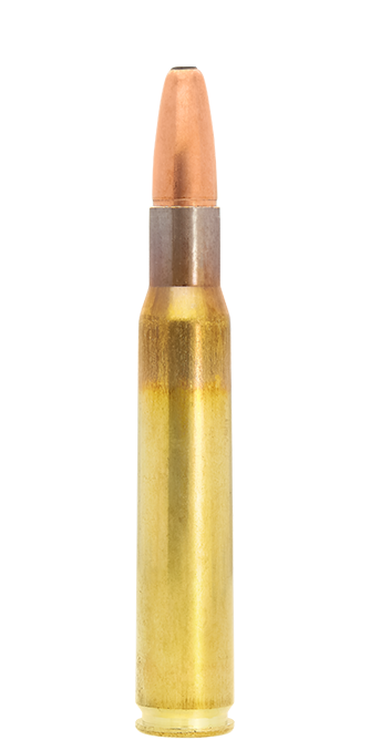 SP Mega Rifle Bullets