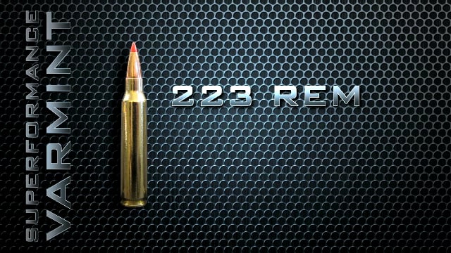 Superformance® Varmint Bullets