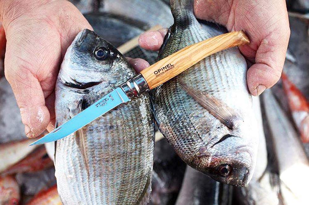 Sharp Razor No. 10 Beech