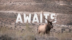 Outfitter® Metallic Ammunition