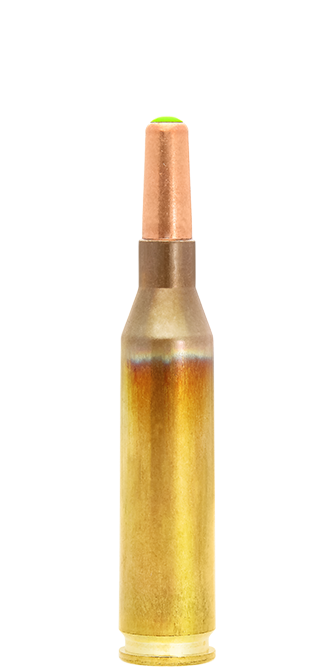 Naturalis Rifle Bullets