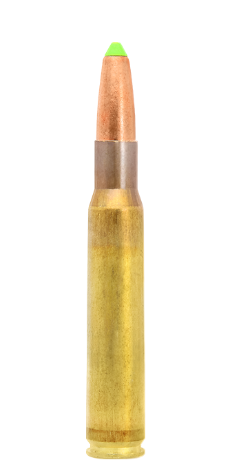 Naturalis Rifle Bullets