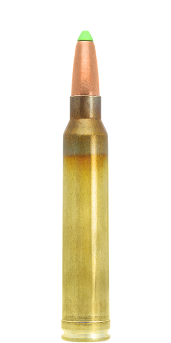 Naturalis Rifle Bullets