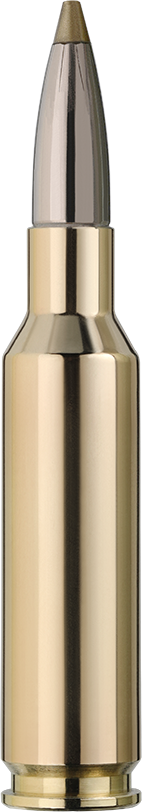 Evolution Green Hunting Metallic Ammunition