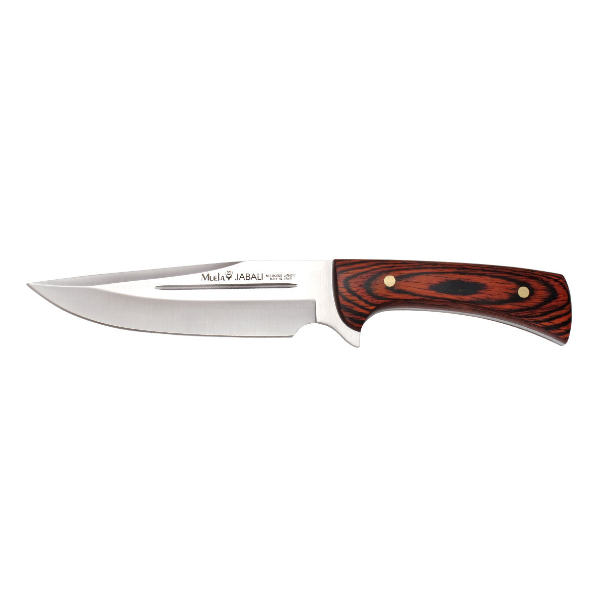 Boar Hunting Knife 17 One Piece