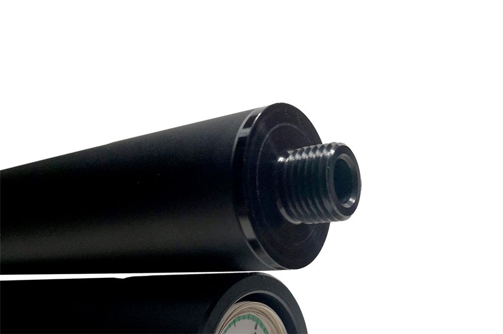 PCP Viriatus 2.0 BP carbine