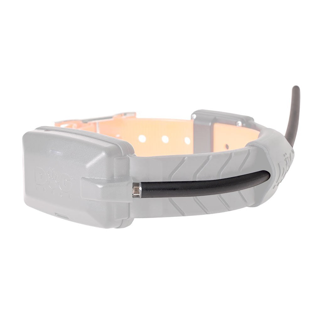 Additional Collar GPS X20