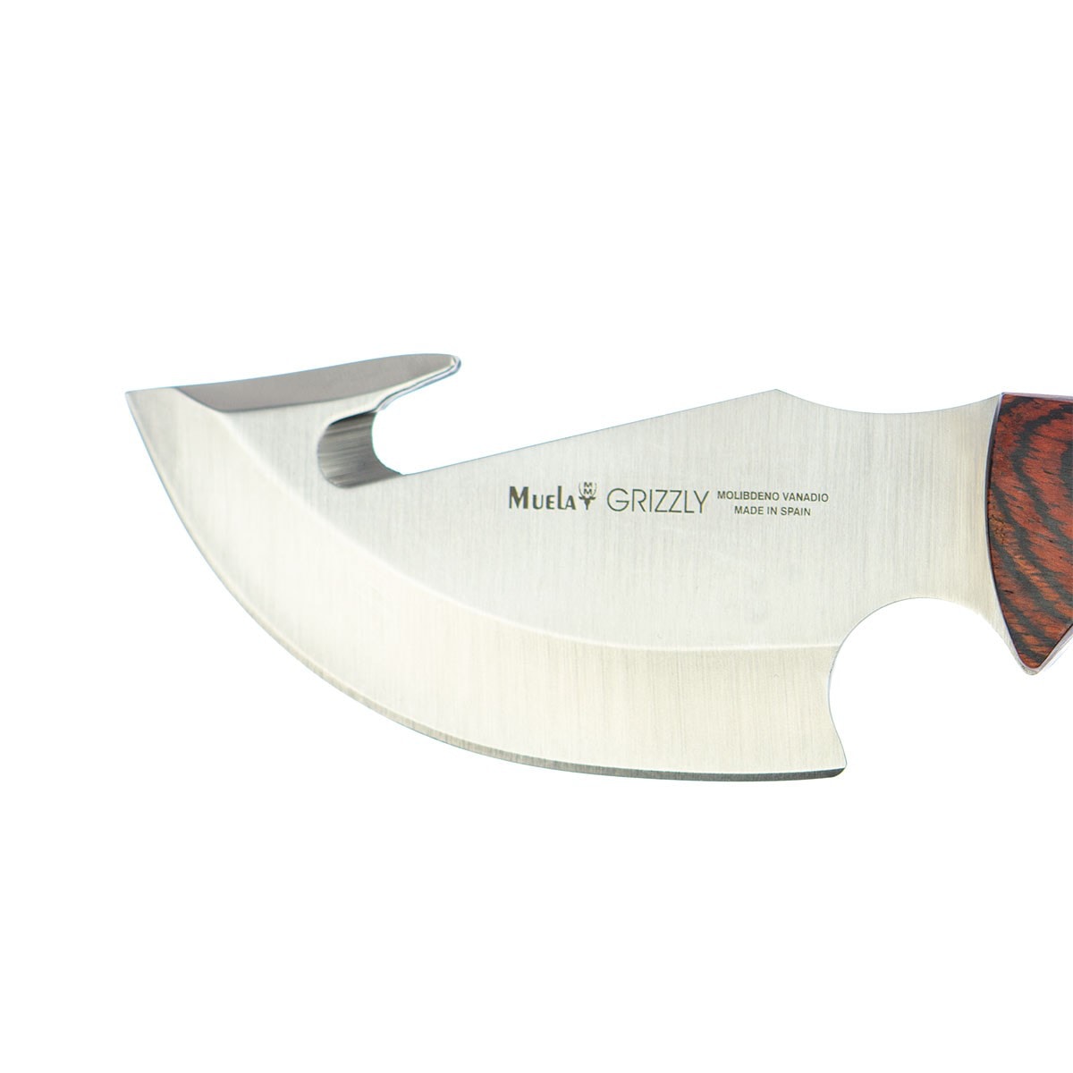 Cuchillo de Caza Desollador GRIZZLY-12R