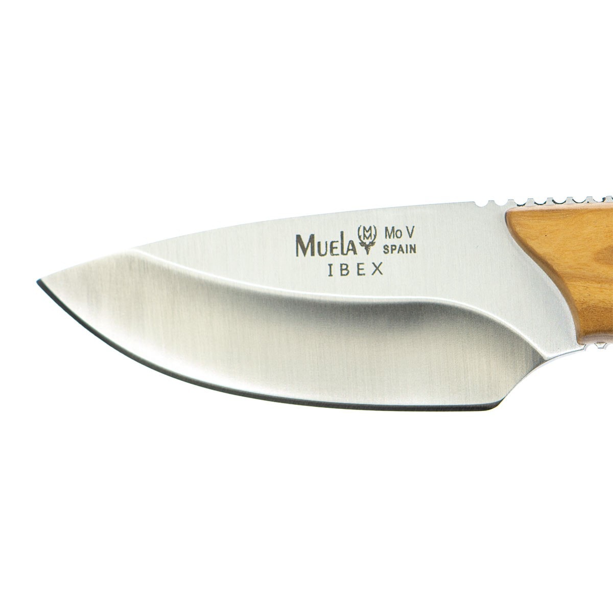 Cuchillo de Caza IBEX-8.OL