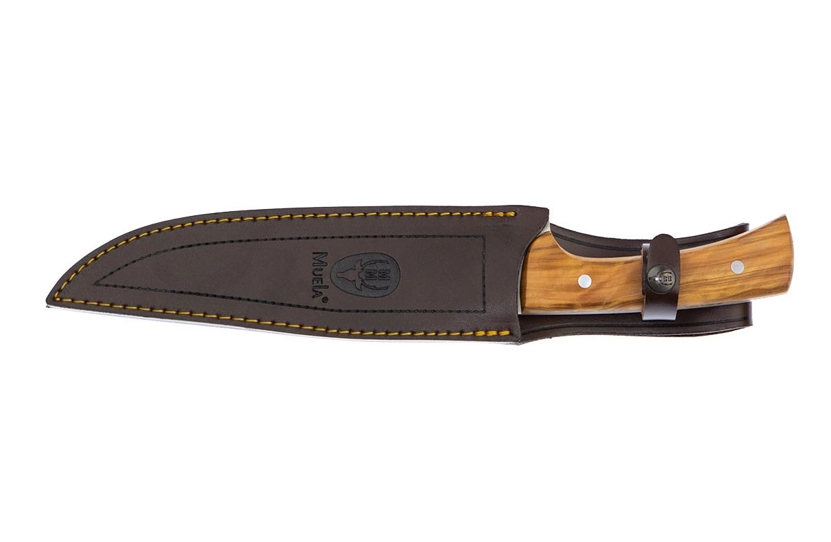 Boar Hunting Knife 21 One Piece