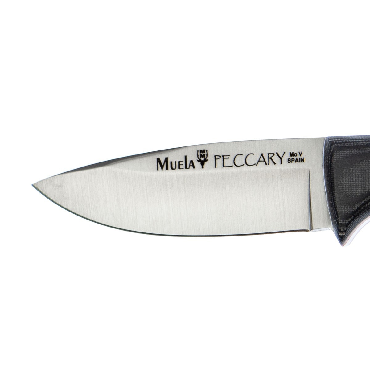 Cuchillo de Caza Peccary
