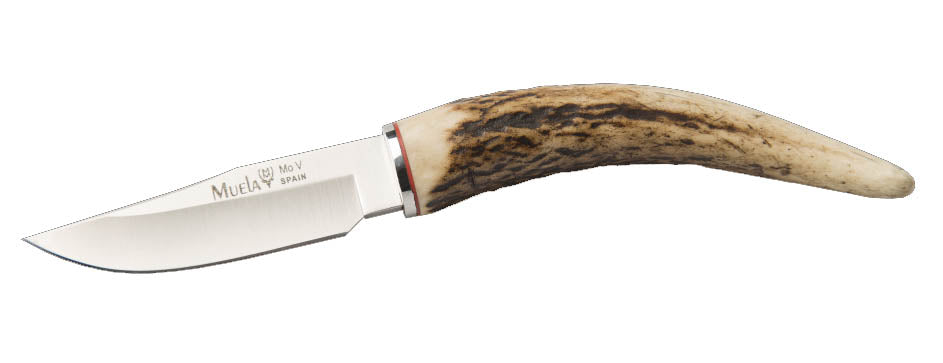 Muela BW-6C Asta de Ciervo