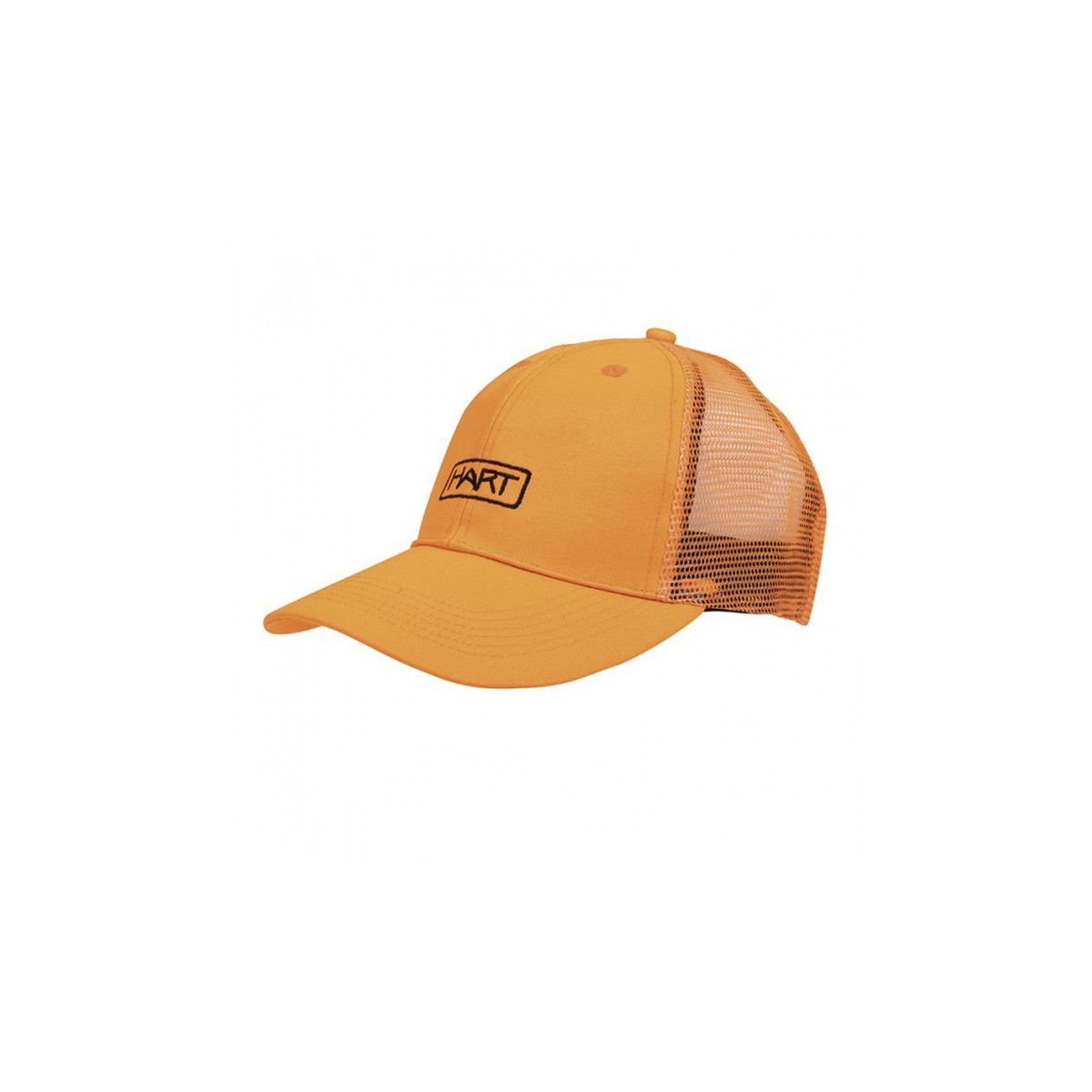 Mesh-C Cap