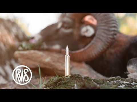 Speed Tip Professional Hunting Metallic Ammunition