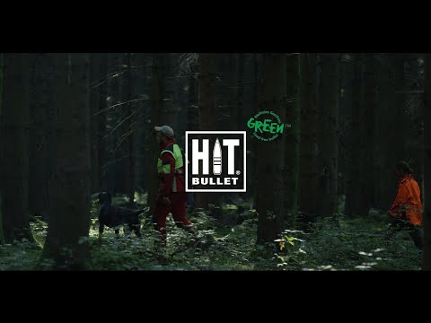 Hit Hunting Short Rifle Metal Ammunition