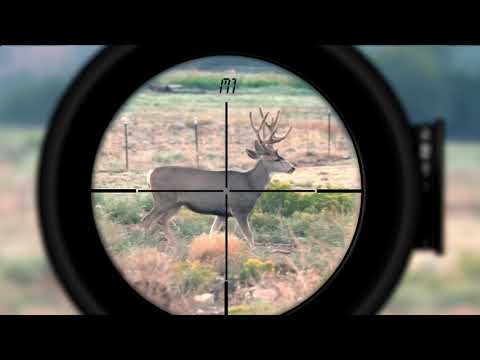 Hunting Scope with Illuminated Reticle