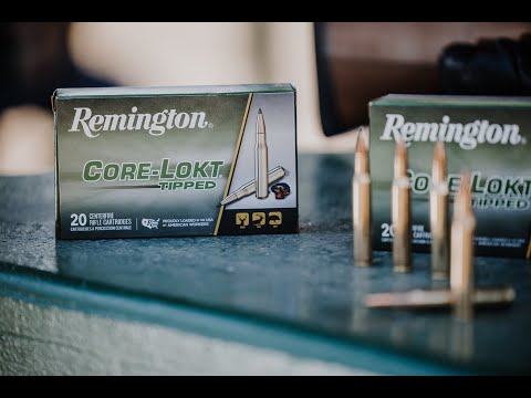Balas de Caza Core-Lokt® Tipped