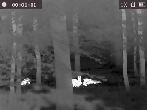 OWL Thermal Monocular