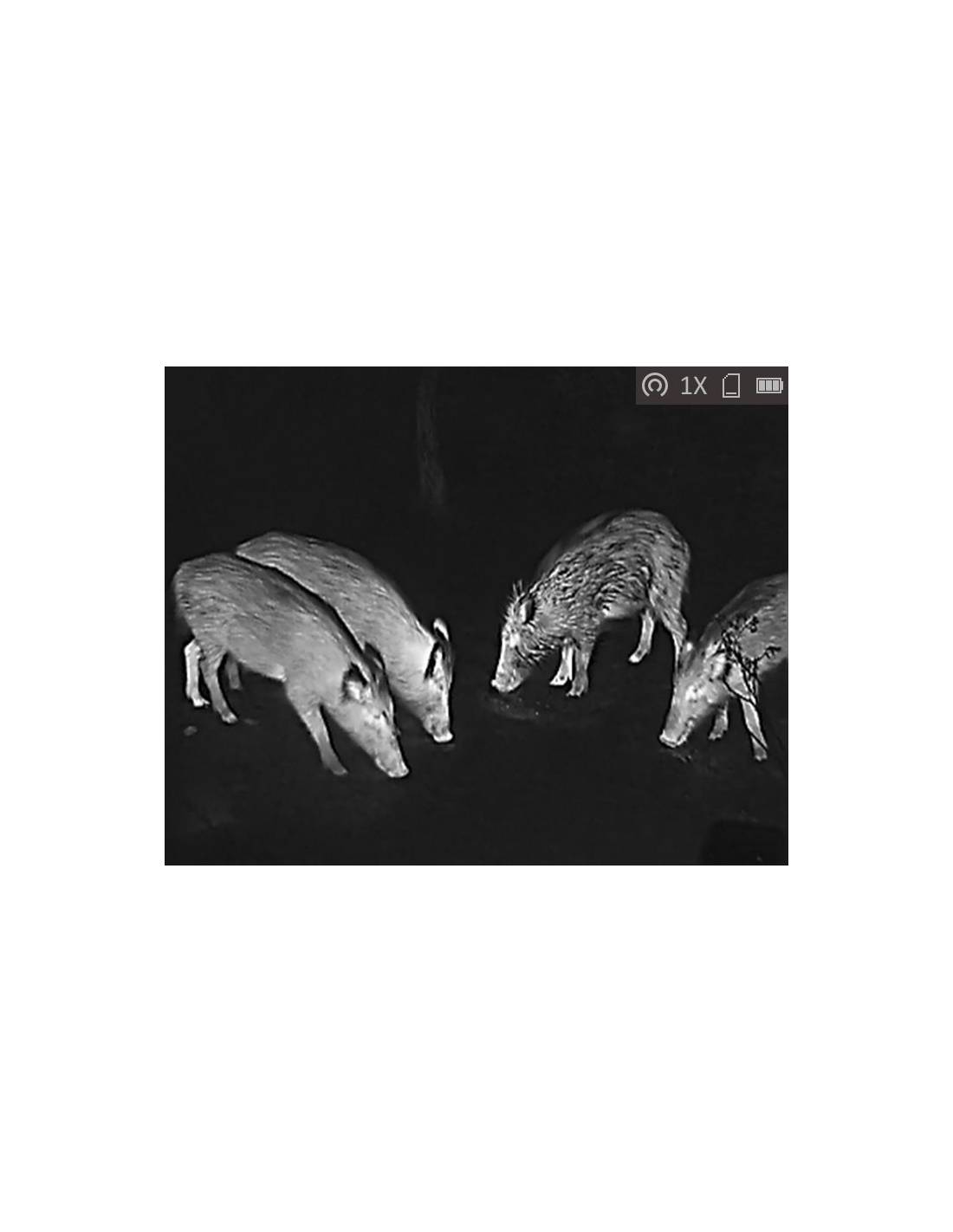 LYNX Pro Thermal Monocular