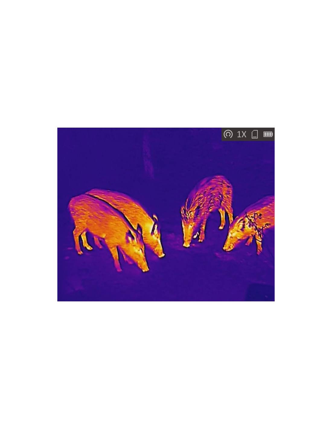 LYNX Pro Thermal Monocular