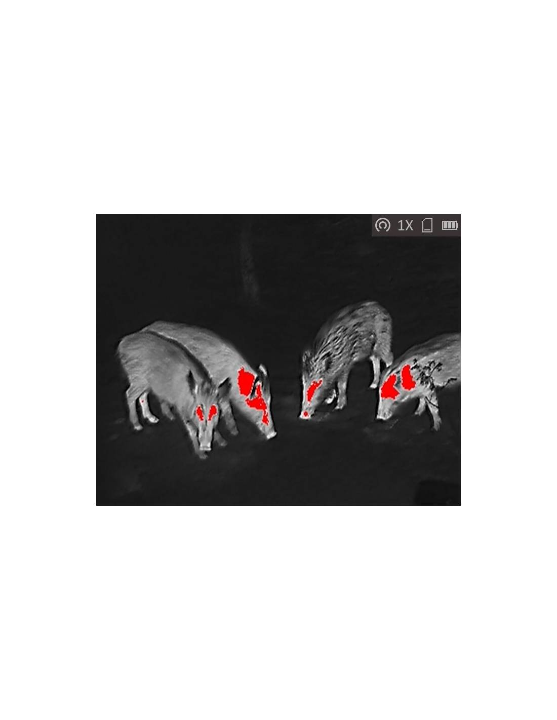 LYNX Pro Thermal Monocular