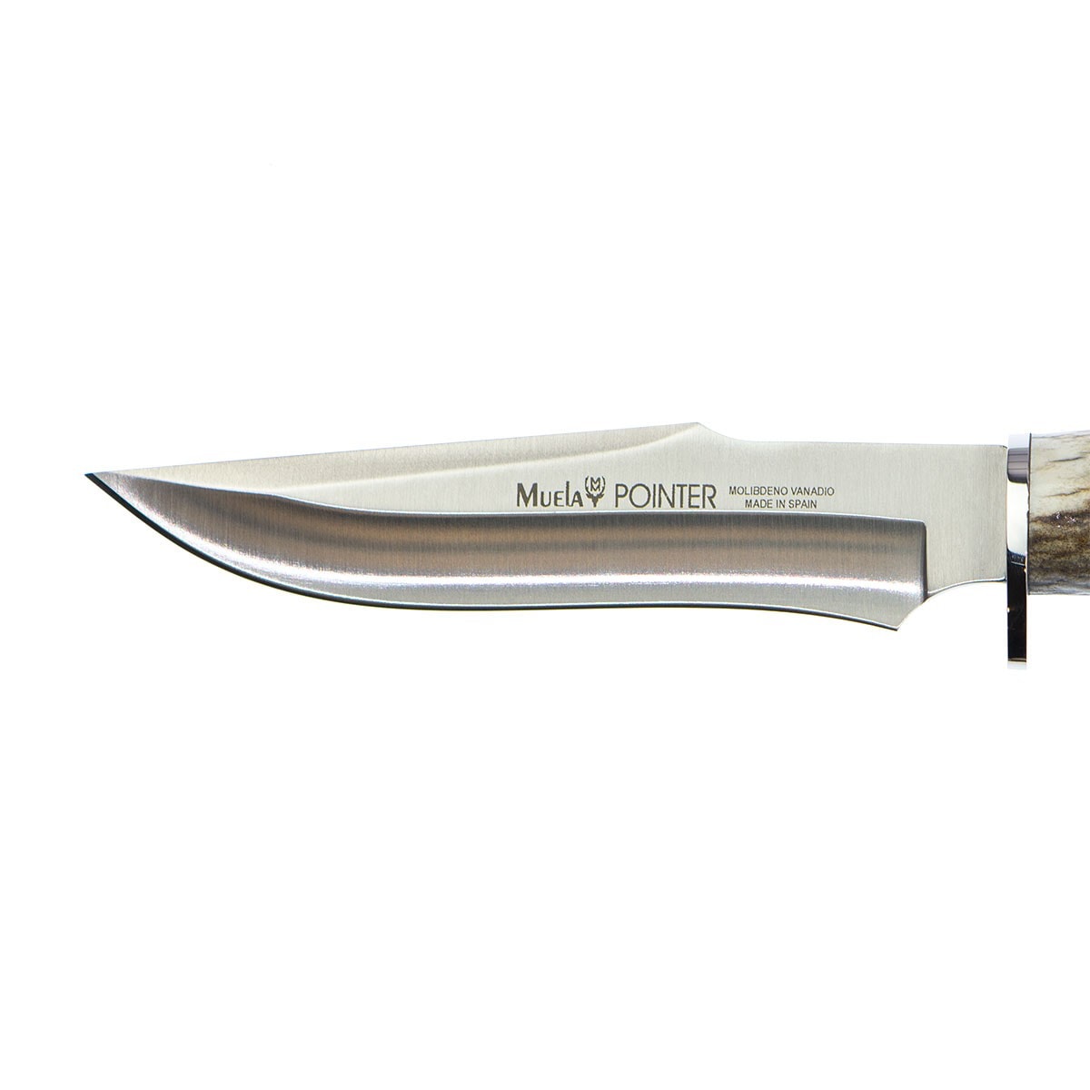 Cuchillo de Caza Pointer