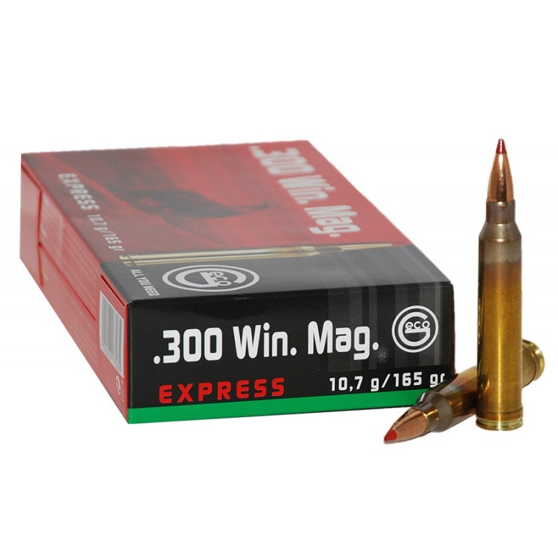 Express Hunting Bullets