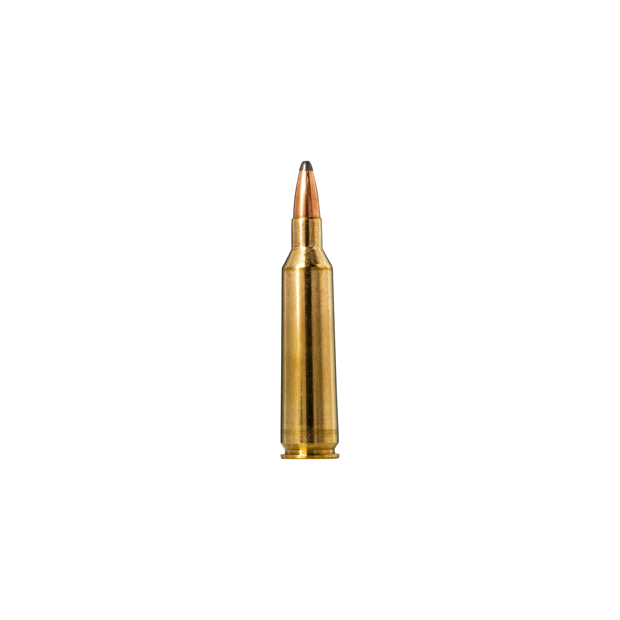 Soft Point Hunting Bullets