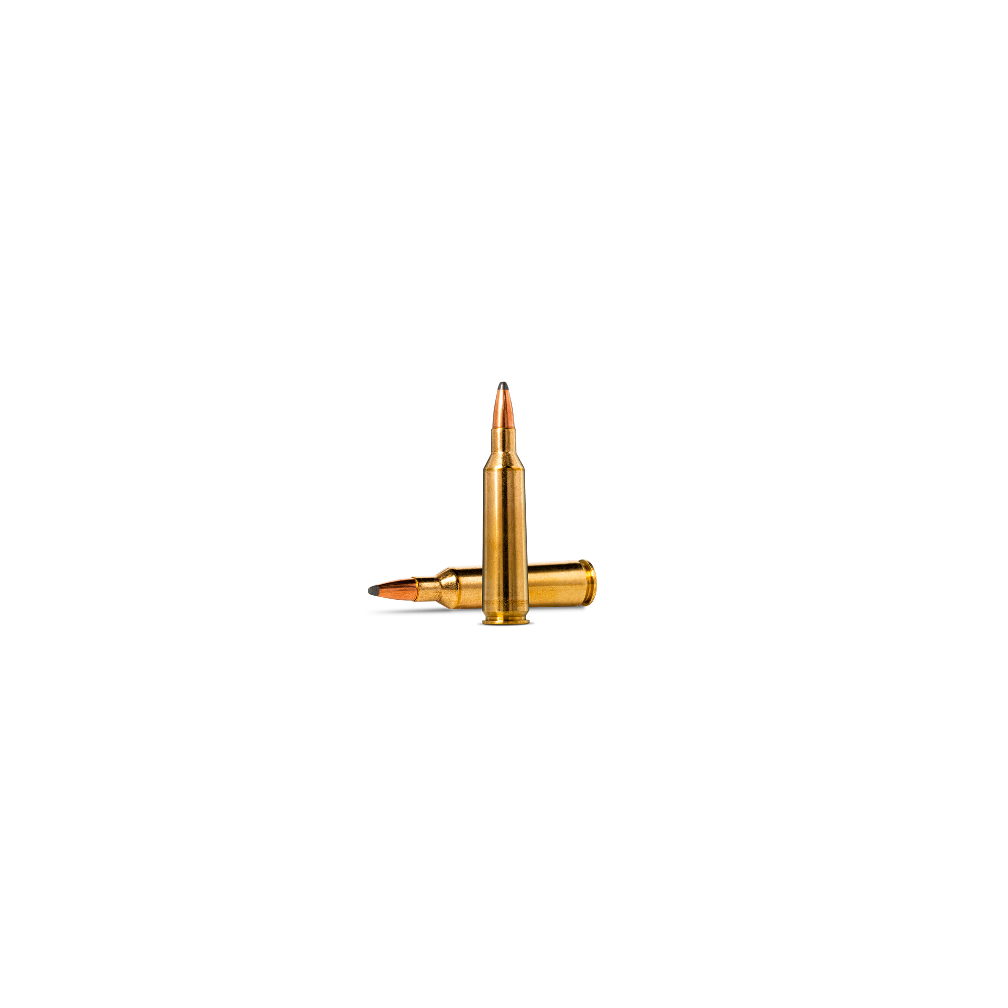 Soft Point Hunting Bullets