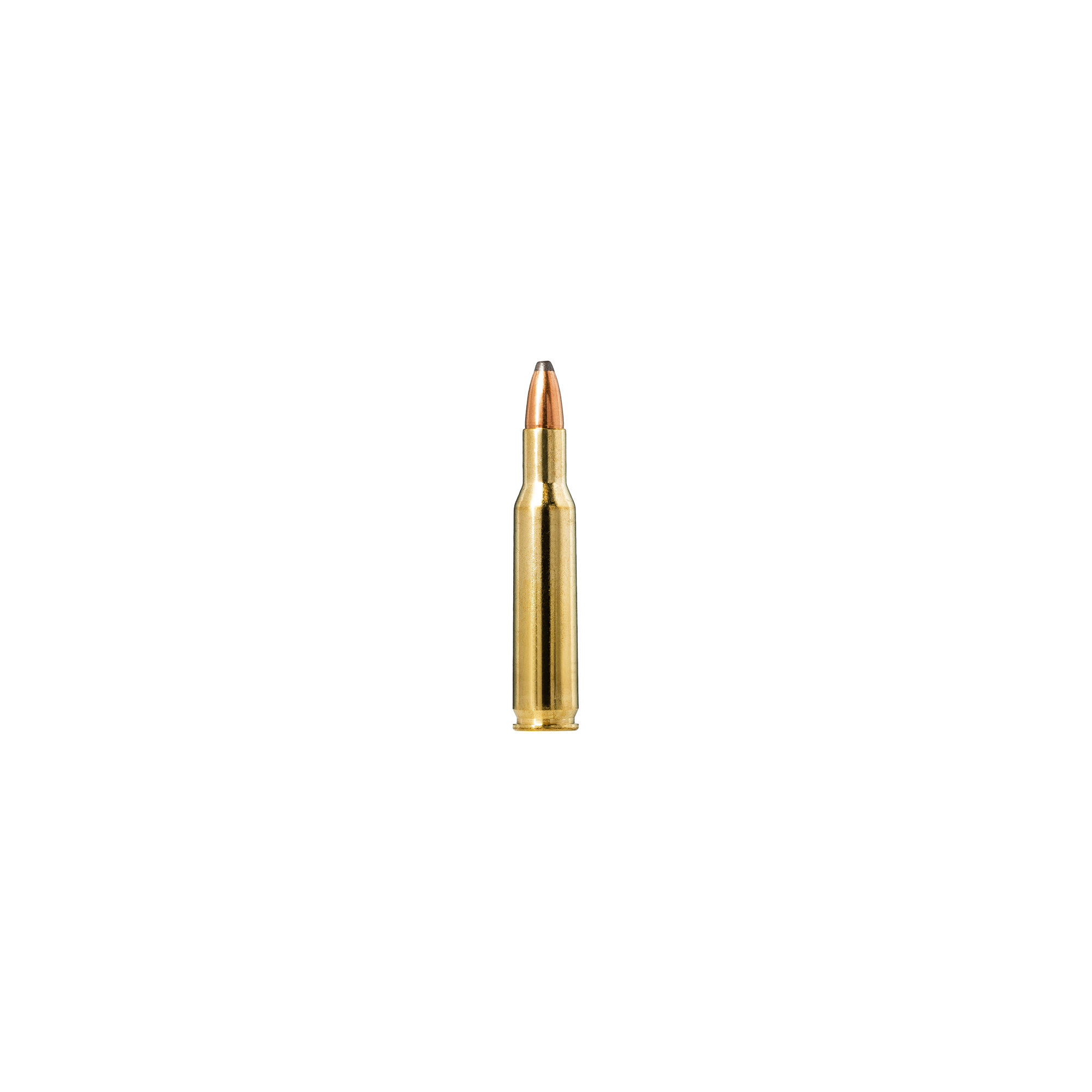 Soft Point Hunting Bullets