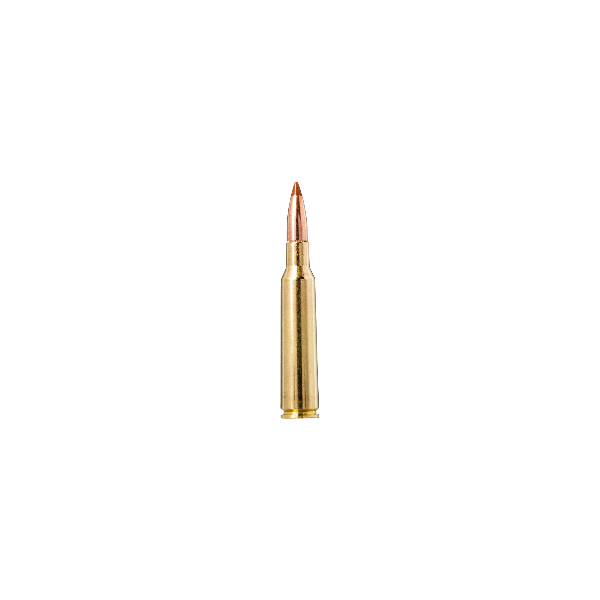 Nosler Ballistic Tip Bullets