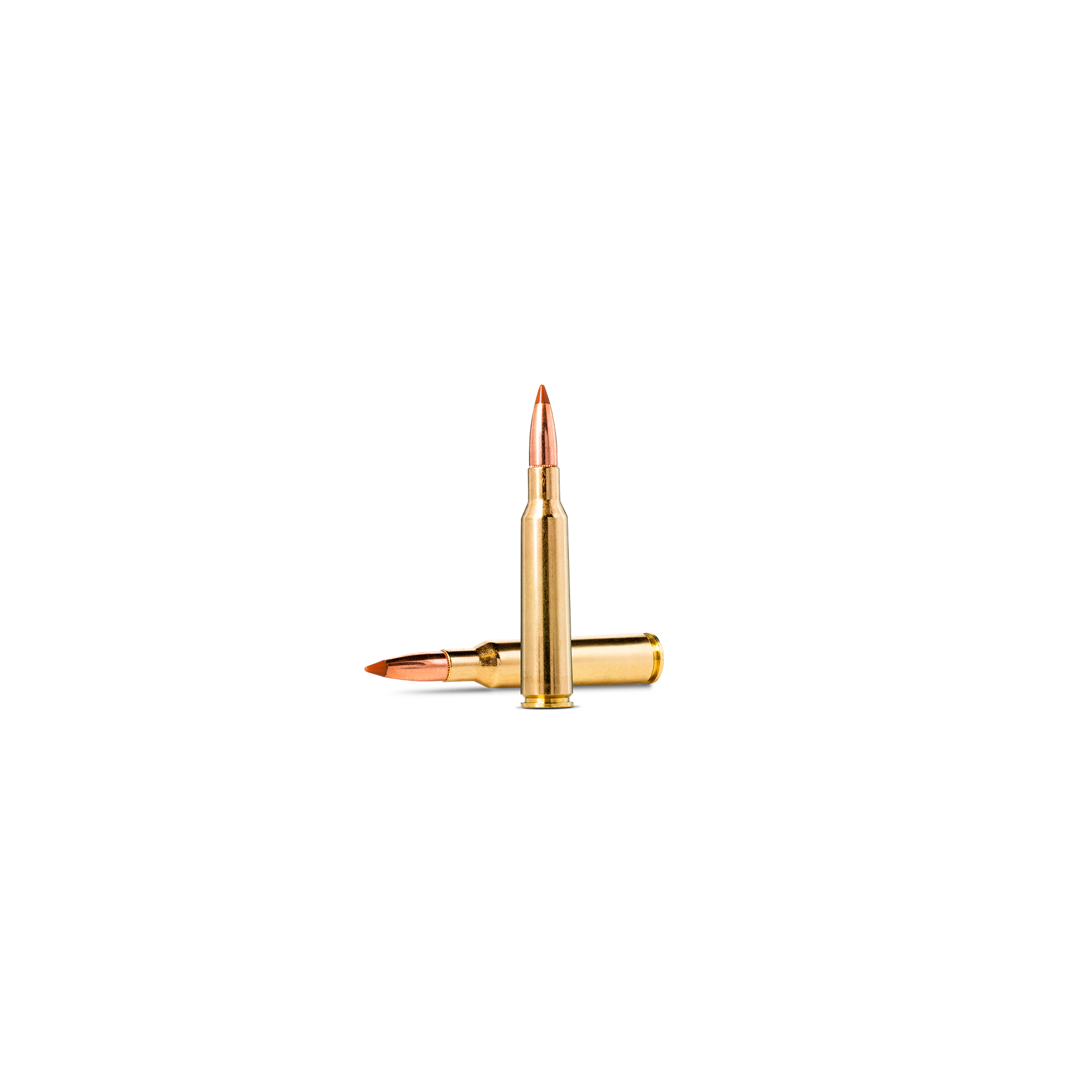 Nosler Ballistic Tip Bullets