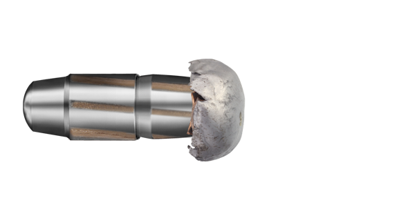 Speed Tip Hunting Bullets
