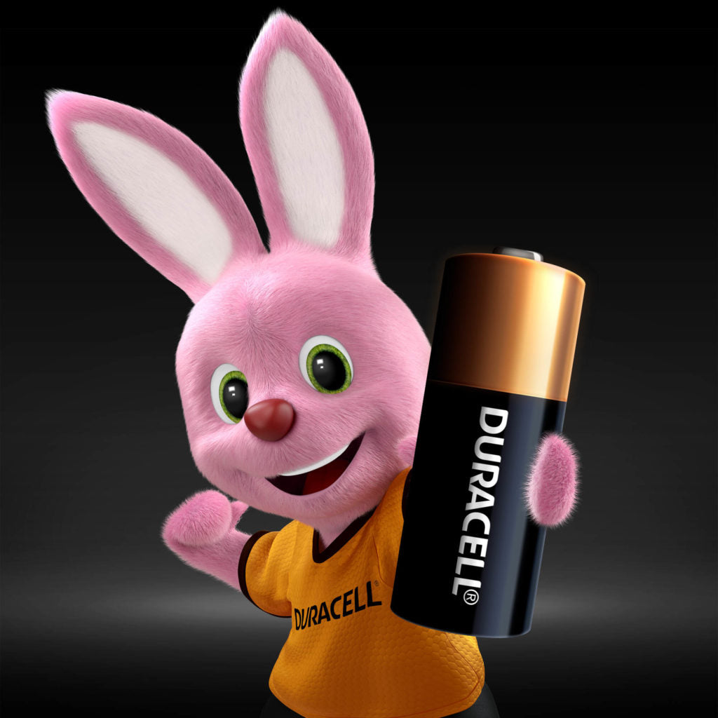 12V MN21 Special Alkaline Batteries