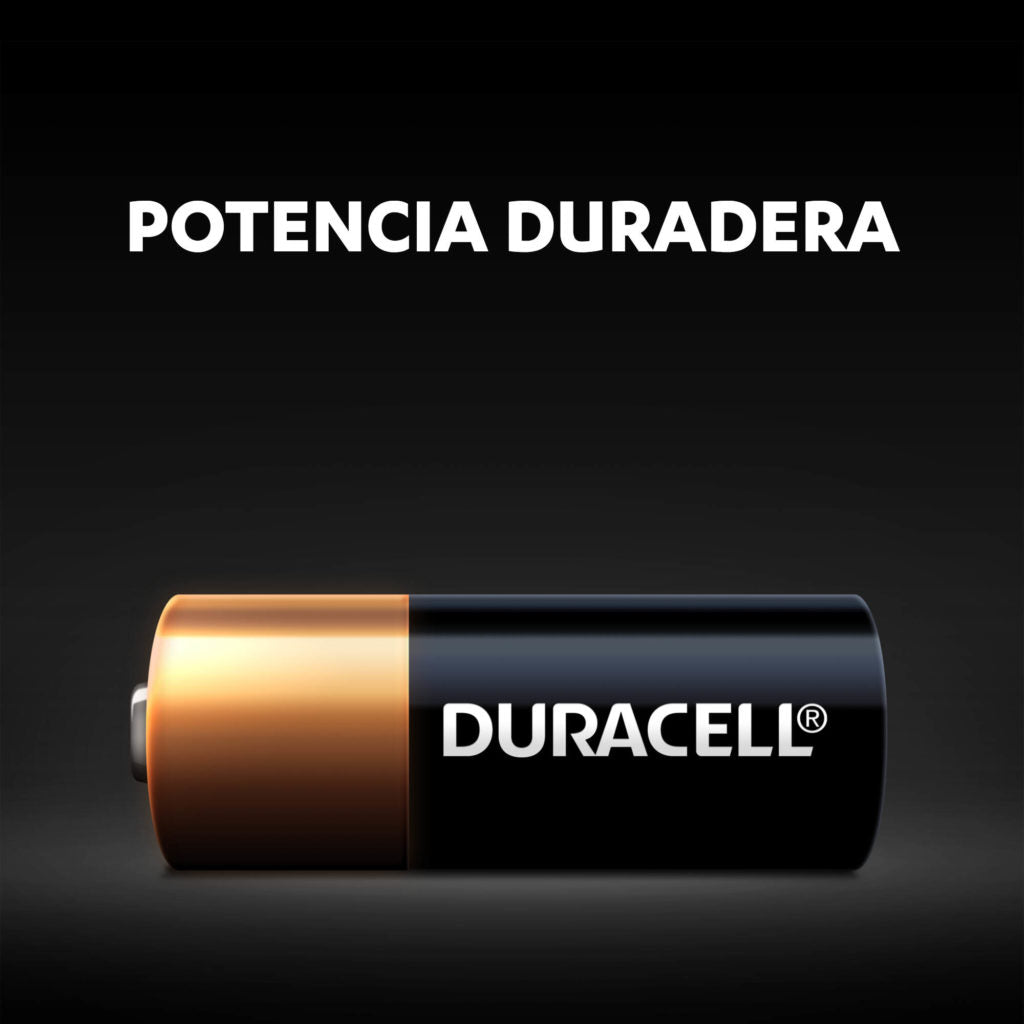 12V MN21 Special Alkaline Batteries